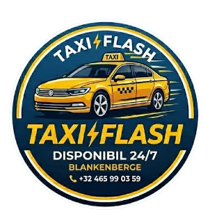 Taxi Flash logo